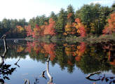 Fall scene on Chocorua Lake.